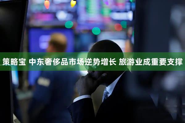 策略宝 中东奢侈品市场逆势增长 旅游业成重要支撑